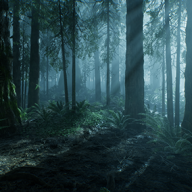 The Forest v1.5