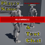 Player Name & Text Chat