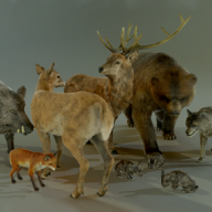 FOREST ANIMALS PACK