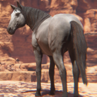 Horse Animset